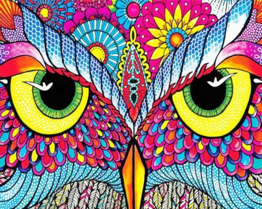 Abstract Owl Eyes paint by number