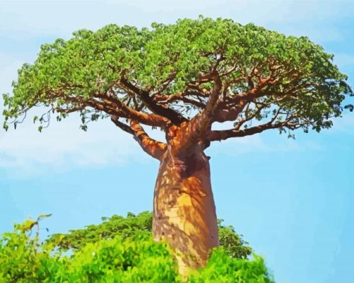 African Tree paint by number