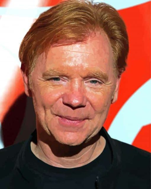 American Actor David Caruso Paint by number