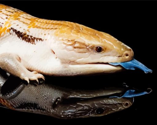 Australian Blue Tongued Skink Reptile Paint by number