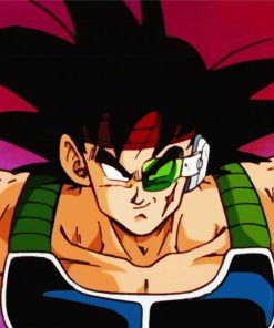 Bardock Dragon Ball paint by number