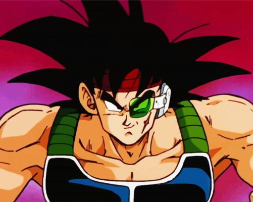 Bardock Dragon Ball paint by number