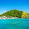 Beautiful Beach In Saint Kitts And Nevis paint by number