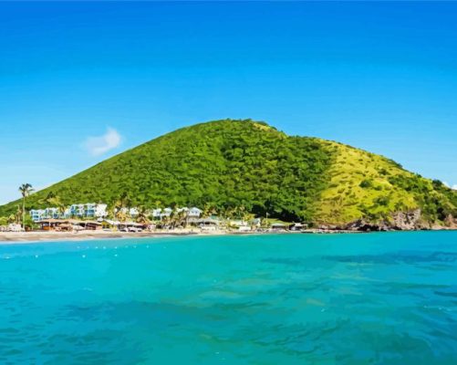 Beautiful Beach In Saint Kitts And Nevis paint by number