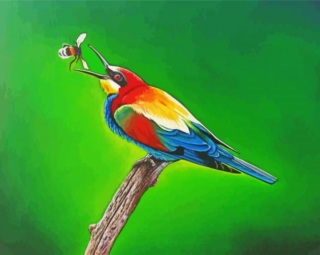 Bee Eater Paint by number