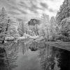 Black And White Half Dome Reflection paint by number