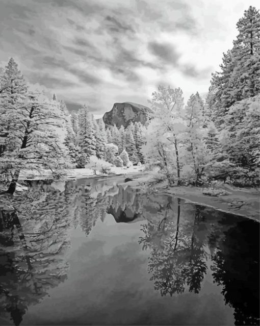 Black And White Half Dome Reflection paint by number