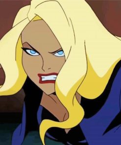 Black Canary Character paint by number