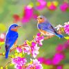 Blue Birds And Blossom paint by number