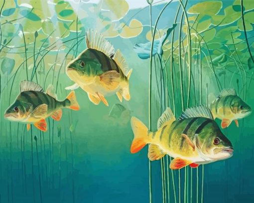 Bluegill Fishes Underwater paint by number