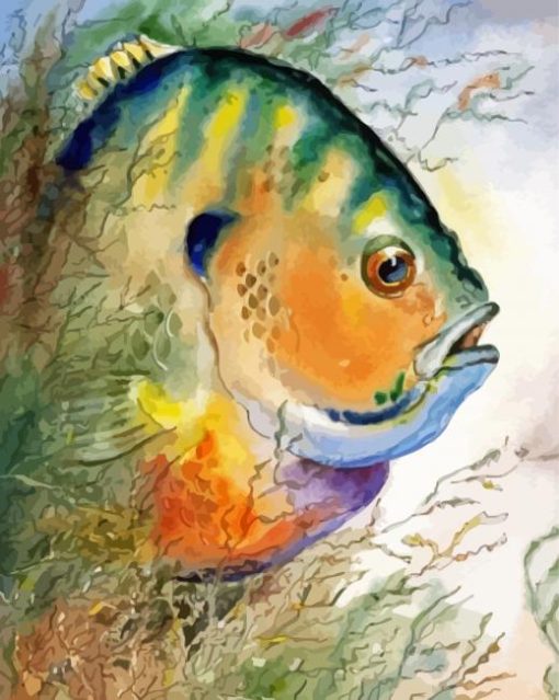 Bluegill Fish Art paint by number