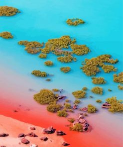 Broome Australia paint by number