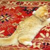 Cat With Oriental Rug paint by number