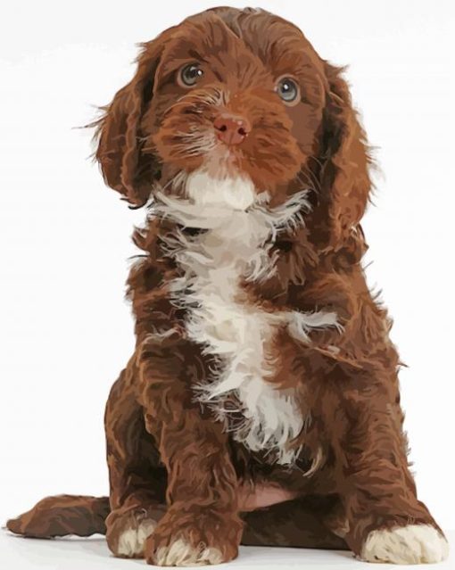 Chocolate Cockapoo Puppy paint by number