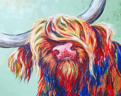 Colourful Highland Cow paint by number