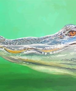 Crocodile In Water paint by number
