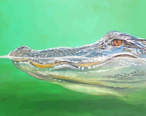Crocodile In Water paint by number