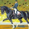 Dressage Horse paint by number