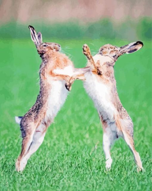 Fighting Hares paint by number