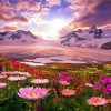Flowers And Mountains paint by number