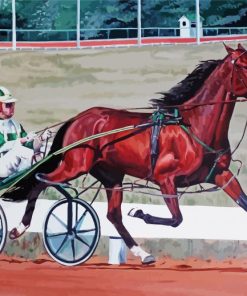 Harness Horse Race paint by number