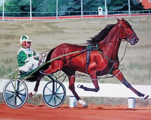 Harness Horse Race paint by number