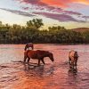 Horses Crossing The River Sunset paint by number