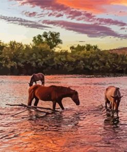 Horses Crossing The River Sunset paint by number