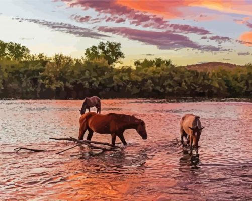 Horses Crossing The River Sunset paint by number