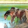 Horses In River Art paint by number