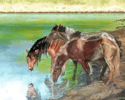 Horses In River Art paint by number