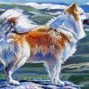 Icelandic Sheepdog Art Illustration Art paint by number