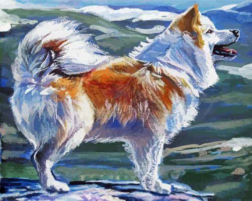 Icelandic Sheepdog Art Illustration Art paint by number