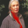 Jane Goodall paint by number