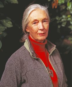 Jane Goodall paint by number
