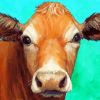 IJersey Cow Illustration paint by number
