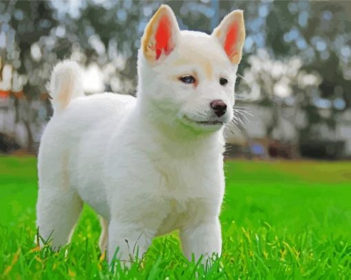 Jindo Dog Puppy paint by number