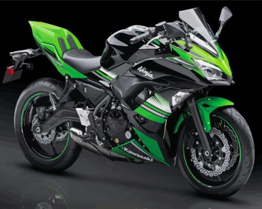 Kawasaki Ninja paint by number