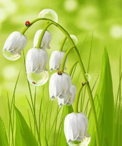 Lily Of Valley And Ladybugs paint by number