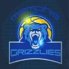 Memphis Grizzlies Logo paint by number