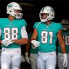 Miami Dolphins Players paint by number