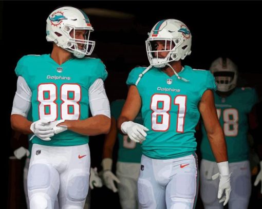 Miami Dolphins Players paint by number
