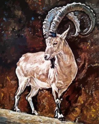 Mountain Goat Art paint by number