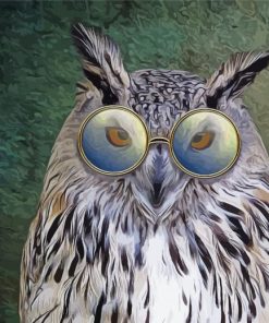 Owl Bird With Glasses paint by number