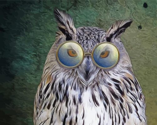 Owl Bird With Glasses paint by number