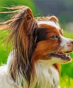 Papillon Dog Side Profile paint by number