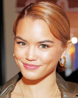 Paris Berelc paint by number