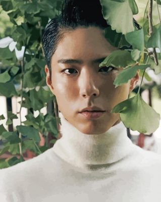 Park Bo Gum Vogue Magazine paint by number