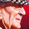 Paul Bear Bryant Side Profile Art paint by number