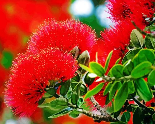 Pohutukawa paint by number